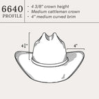 Ashby Straw Cowboy Hat